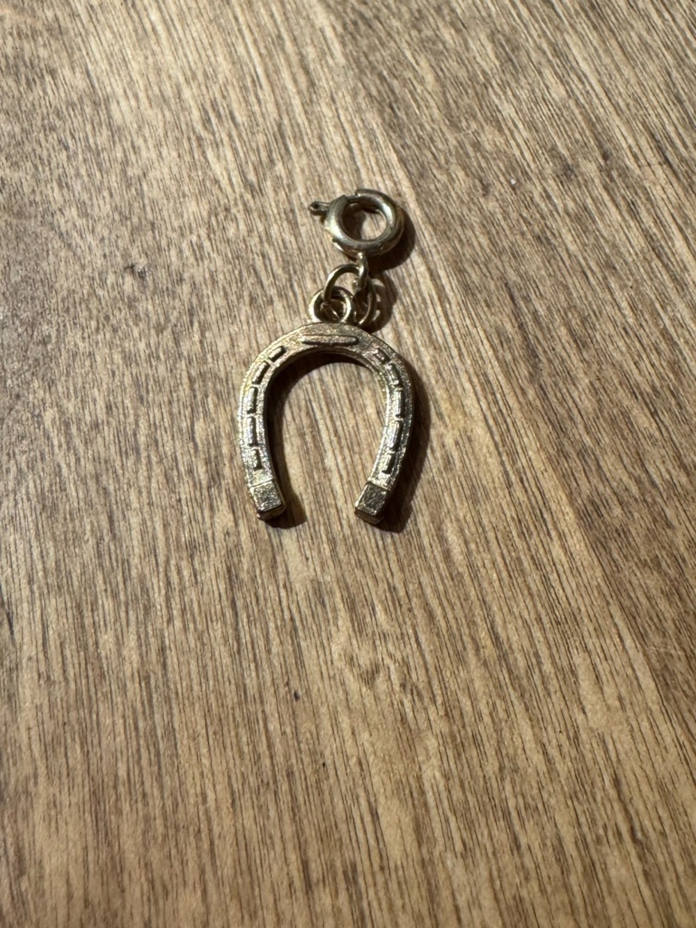 Horseshoe Charm Pendant in Metallic Gold